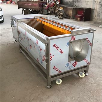 沙姜清洗機 黃精清洗蒸制流水線