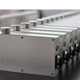 FS 220-DSS动载称重模块