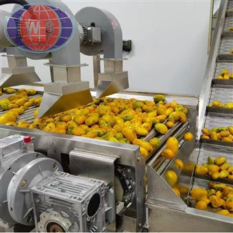 水果饮料生产线