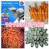 切菜機(jī)廠家哪家好？圖片