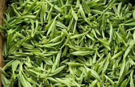 巴中市通江县推动茶产业跨界升级
