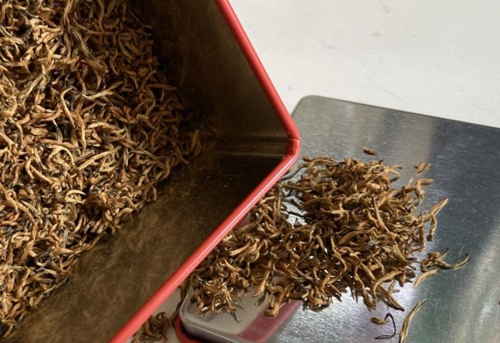 团体标准《金秀红茶加工技术规程》（征求意见稿）征求意见