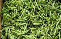 苍南深耕茶叶深加工，让每片茶叶物尽其用