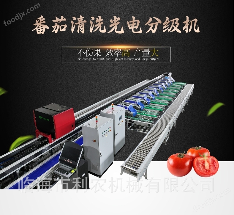 番茄清洗光選智能分級機篩選設(shè)備