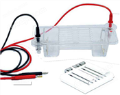 北京六一 DYCP-32B型瓊脂糖水平電泳儀(中號) 高透明度聚碳酸酯注塑成型
