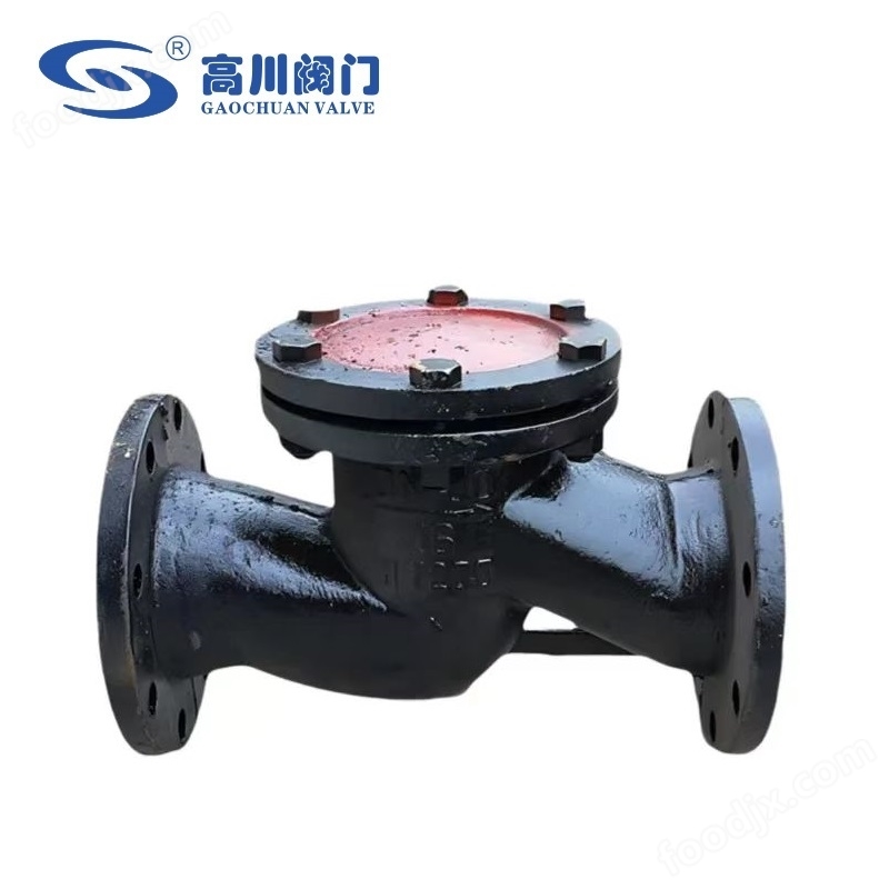 H41T 鑄鐵升降式止回閥