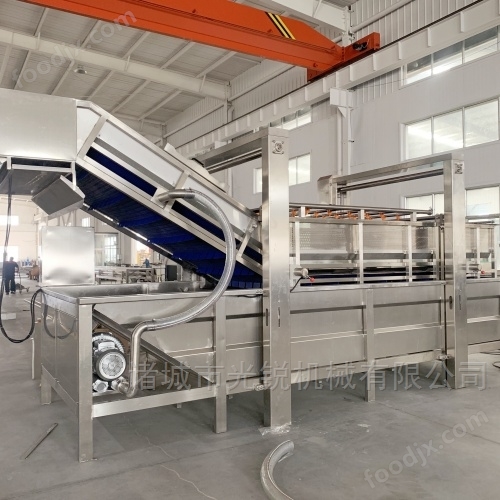 火龍果清洗機(jī)廠家