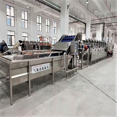 新疆棗清洗機