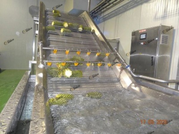 菠萝加工生产线运行监测要点（工业级整线适配）