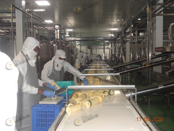 菠萝加工生产线运行监测要点（工业级整线适配）