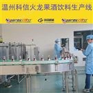 全自動火龍果酒飲料生產(chǎn)線  廠家可定制