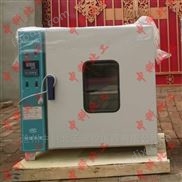電熱鼓風(fēng)干燥箱