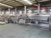 凈菜加工渦流設備概述 果蔬清洗機