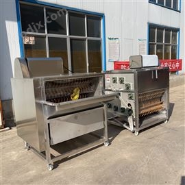 900鸭子拔毛机 打毛机