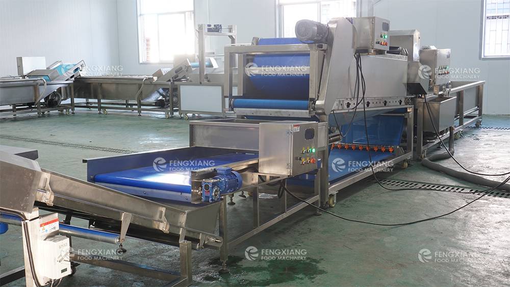 速冻菠菜叶菜处理生产线 果蔬加工成套设备